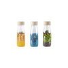 Petit Boum 3 bouteilles sensorielles nature - Clearance