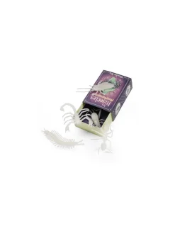 Moulin Roty 5 insectes phosphorescents - Online