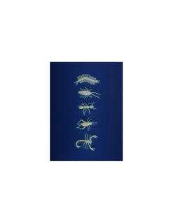 Moulin Roty 5 insectes phosphorescents - Online