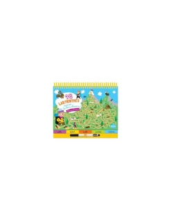 Auzou 48 labyrinthes Trouve le bon chemin - Discount