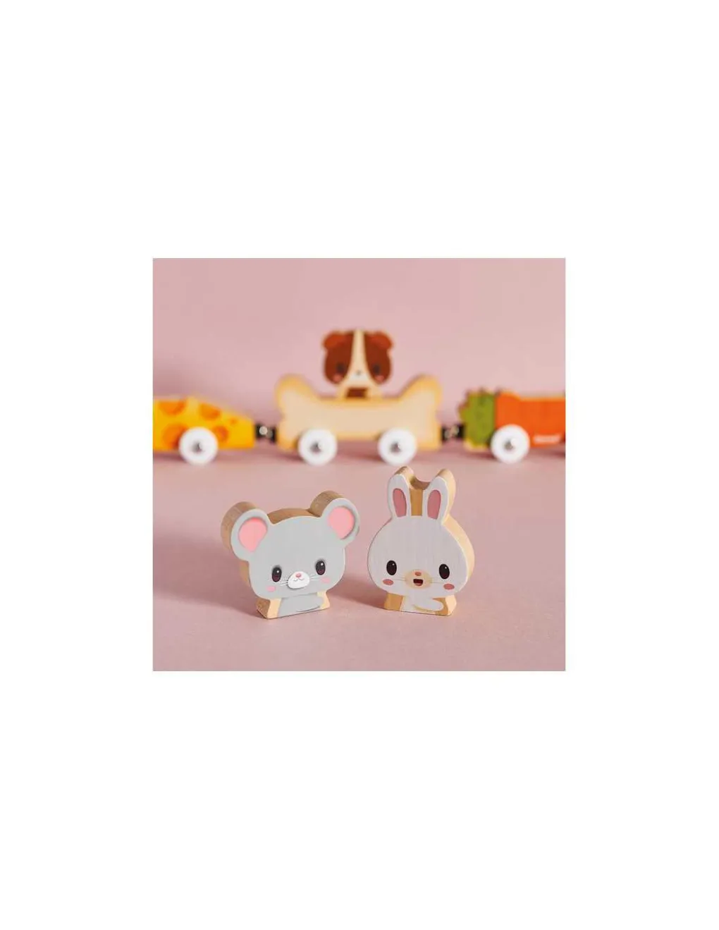 Janod Animaux familiers magnétique - Sale
