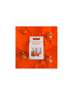 Glo Pals Bocal de jeu sensoriel orange - Online