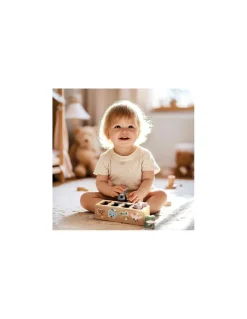 Speedy Monkey Boite à formes Animaux - Online