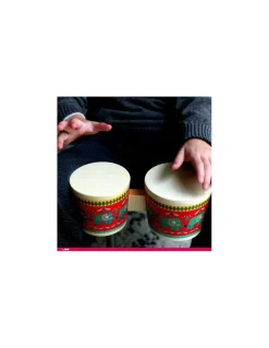 Djeco Bongo - Sale