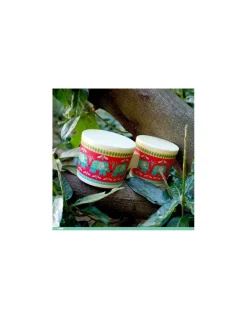 Djeco Bongo - Sale