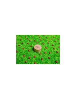 Petit Boum Bouteille sensorielle coccinelles - New