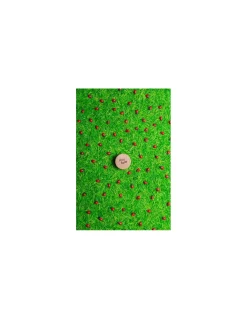 Petit Boum Bouteille sensorielle coccinelles - New