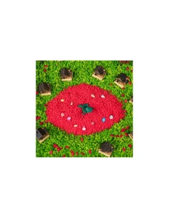 Petit Boum Bouteille sensorielle dragon - Sale