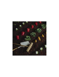 Petit Boum Bouteille sensorielle légumes -