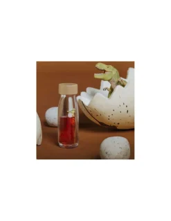 Petit Boum Bouteille sensorielle Move T-Rex - Sale