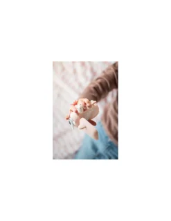 The Zoofamily Camera Licorne Zoo Video - Online