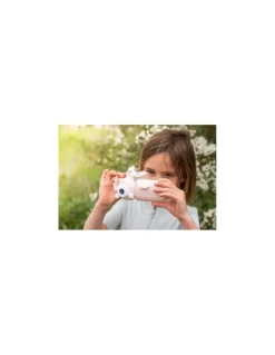 The Zoofamily Camera Licorne Zoo Video - Online