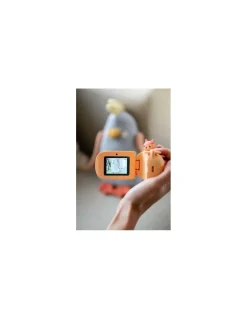 The Zoofamily Camera Renard Zoo Video - Online