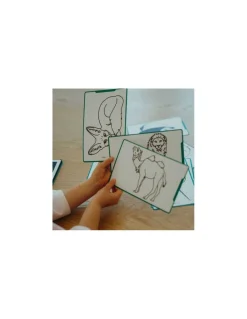 Kidywolf Cartes Kidydraw Mini Animaux et Pirates - Online