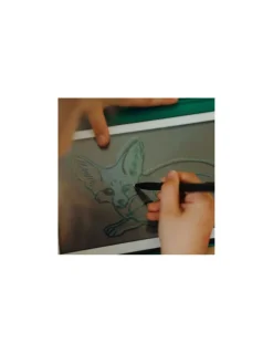 Kidywolf Cartes Kidydraw Mini Animaux et Pirates - Online