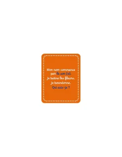 Janod Cherche et trouve Les lettres -