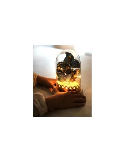 Janod Cloche lumineuse Papillons à créer - Les ateliers déco -