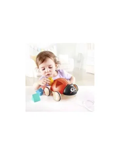 Hape Toys Coccinelle à tirer trieuse de formes - Hape Best