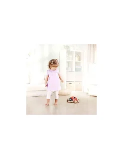 Hape Toys Coccinelle à tirer trieuse de formes - Hape Best