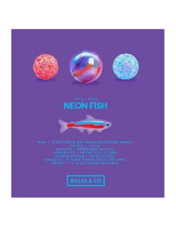 Billes and Co Coffret de 25 billes Neon Fish - Billes & Co
