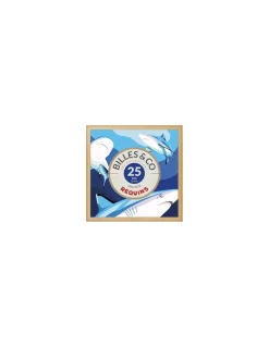 Billes and Co Coffret de 25 billes Requins - Billes & Co New