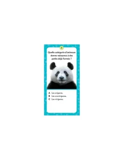 Sassi junior Coffret du méga atlas des animaux - Sassi