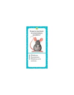 Sassi junior Coffret du méga atlas des animaux - Sassi