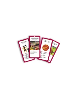 Sassi junior Coffret du méga atlas des volcans - Sassi