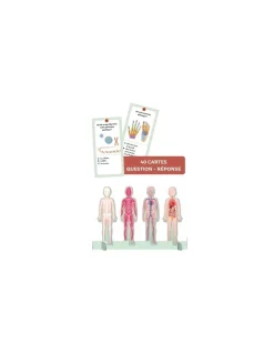 Sassi junior Coffret du méga atlas du corps humain - Sassi Online