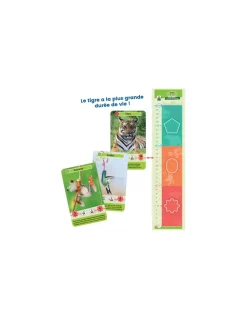 Bioviva Défis nature junior Mystères de la jungle - Online