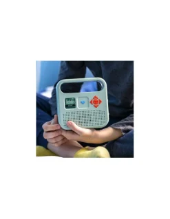 Merlin Enceinte Clearance