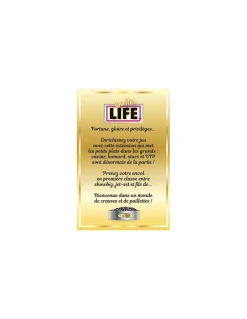 Blackrock Games Extension Vie de luxe Smile Life Online