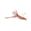 Papo Figurine calmar géant - Discount