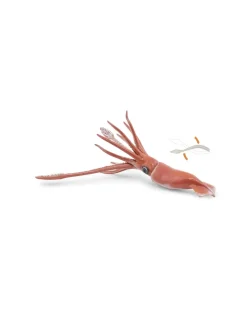 Papo Figurine calmar géant - Discount