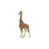 Papo Figurine girafe mâle - Best