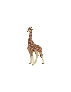 Papo Figurine girafe mâle - Best
