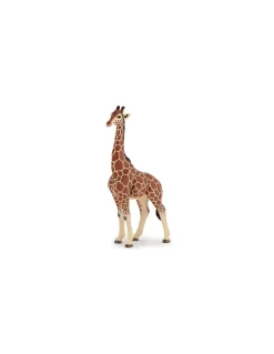 Papo Figurine girafe mâle - Best