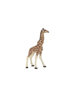 Papo Figurine girafon - Outlet