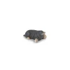 Papo Figurine taupe - Discount