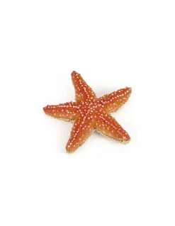 Papo Figurine étoile de mer - Discount
