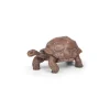 Papo Figurine tortue des Galápagos - Online