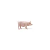 Papo Figurine truie - Online