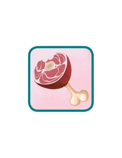 Asmodee Jeu Concept kids animaux Best
