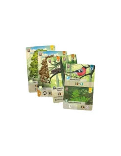 Novalis Jeu Forêt Mixte Clearance