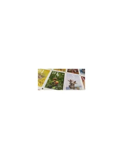 Asmodee Jeu Pixies - Bombyx Discount