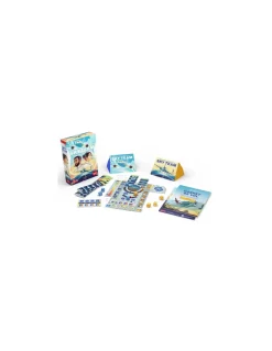 Blackrock Games Jeu Sky Team Best