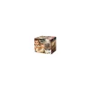 Buki France Kit de fouille T-Rex Museum Skull - Buki Clearance
