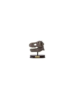 Buki France Kit de fouille T-Rex Museum Skull - Buki Clearance