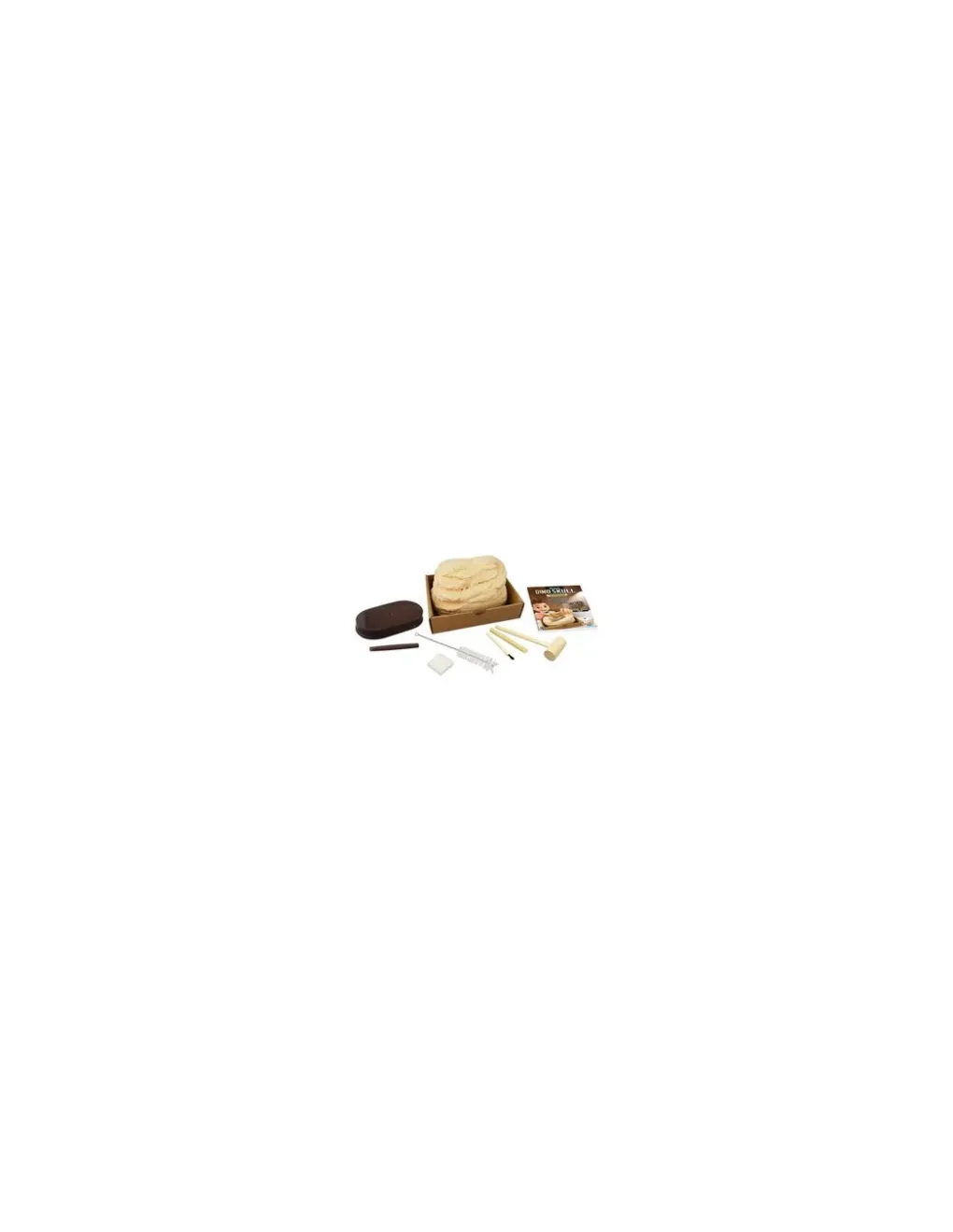 Buki France Kit de fouille T-Rex Museum Skull - Buki Clearance