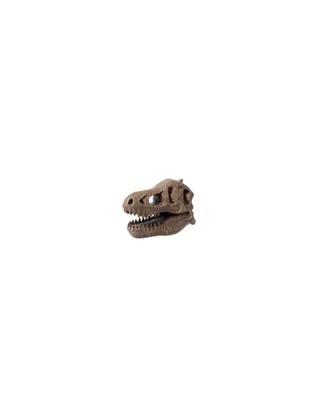 Buki France Kit de fouille T-Rex Museum Skull - Buki Clearance